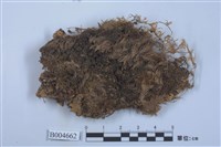 藏品(地卷屬)的圖片